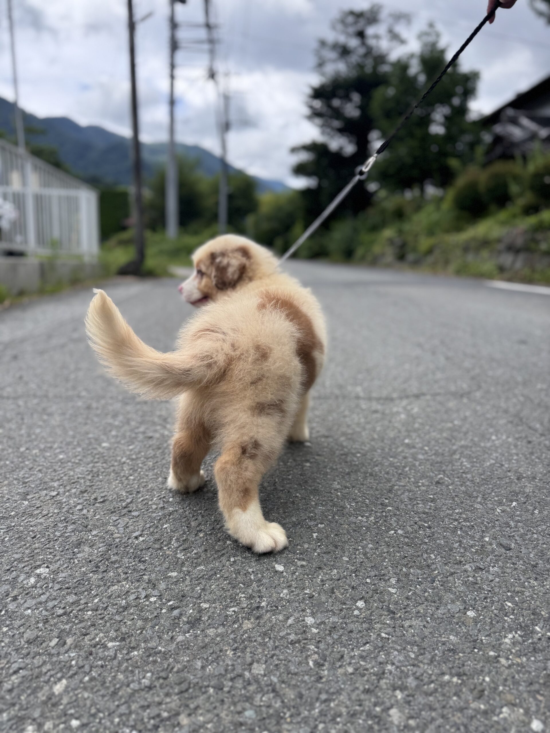 写真5