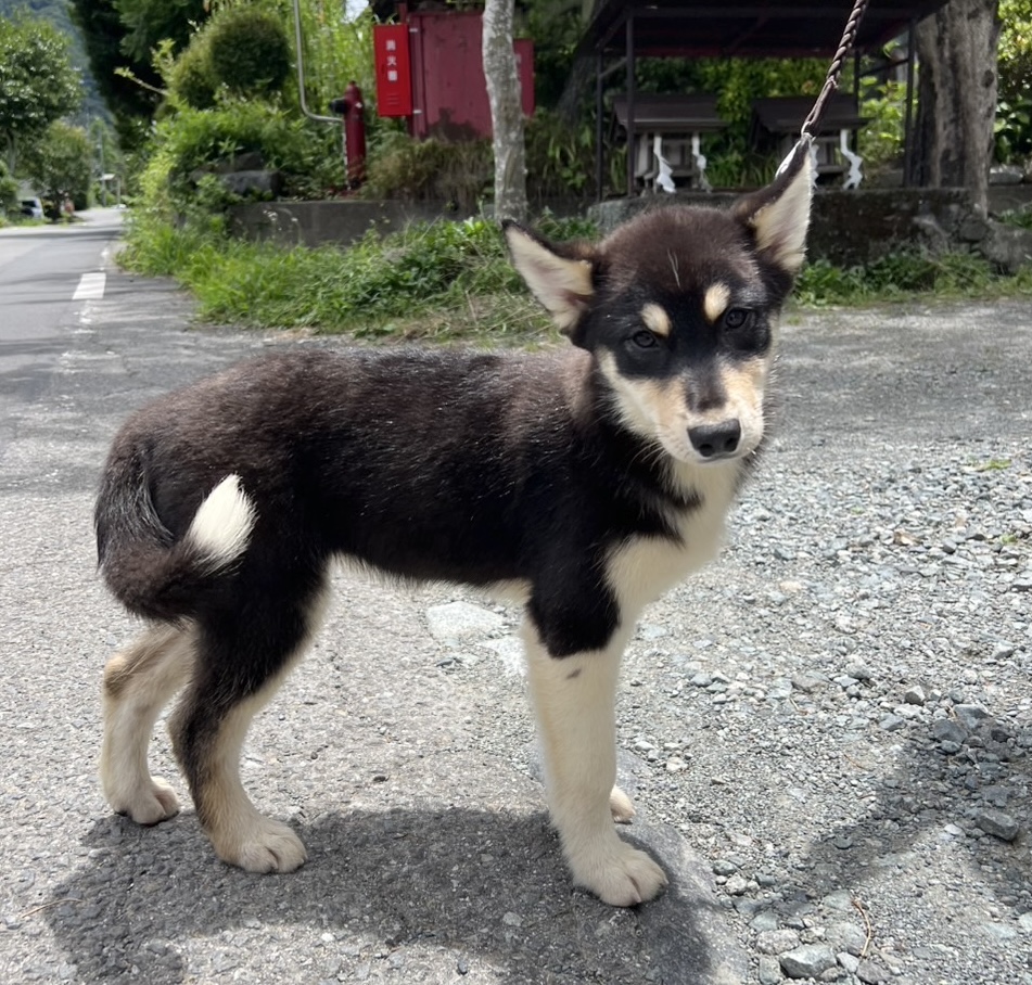 写真４