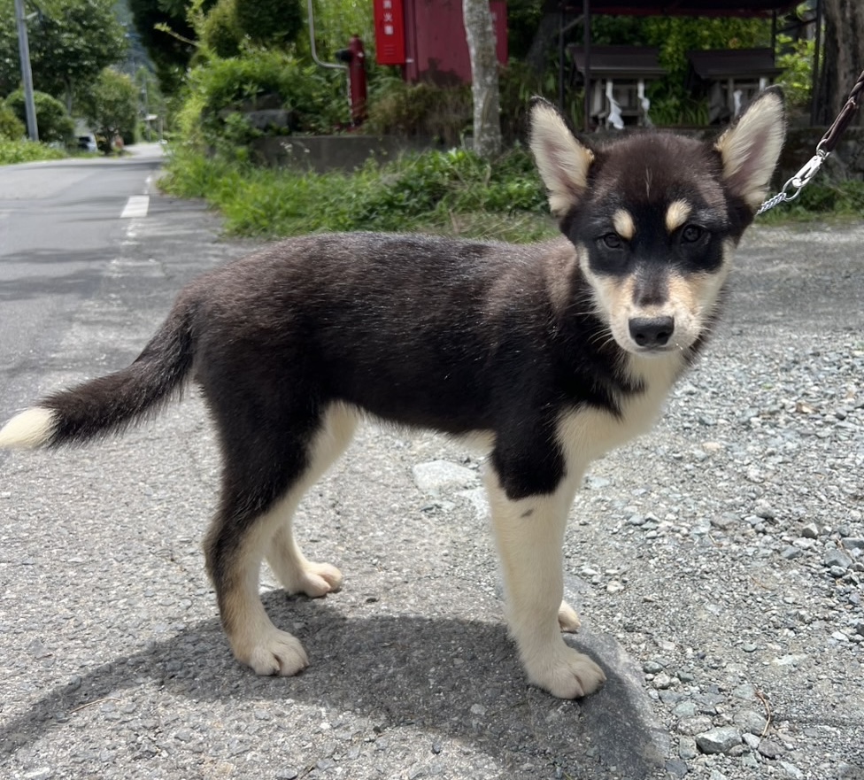 写真3