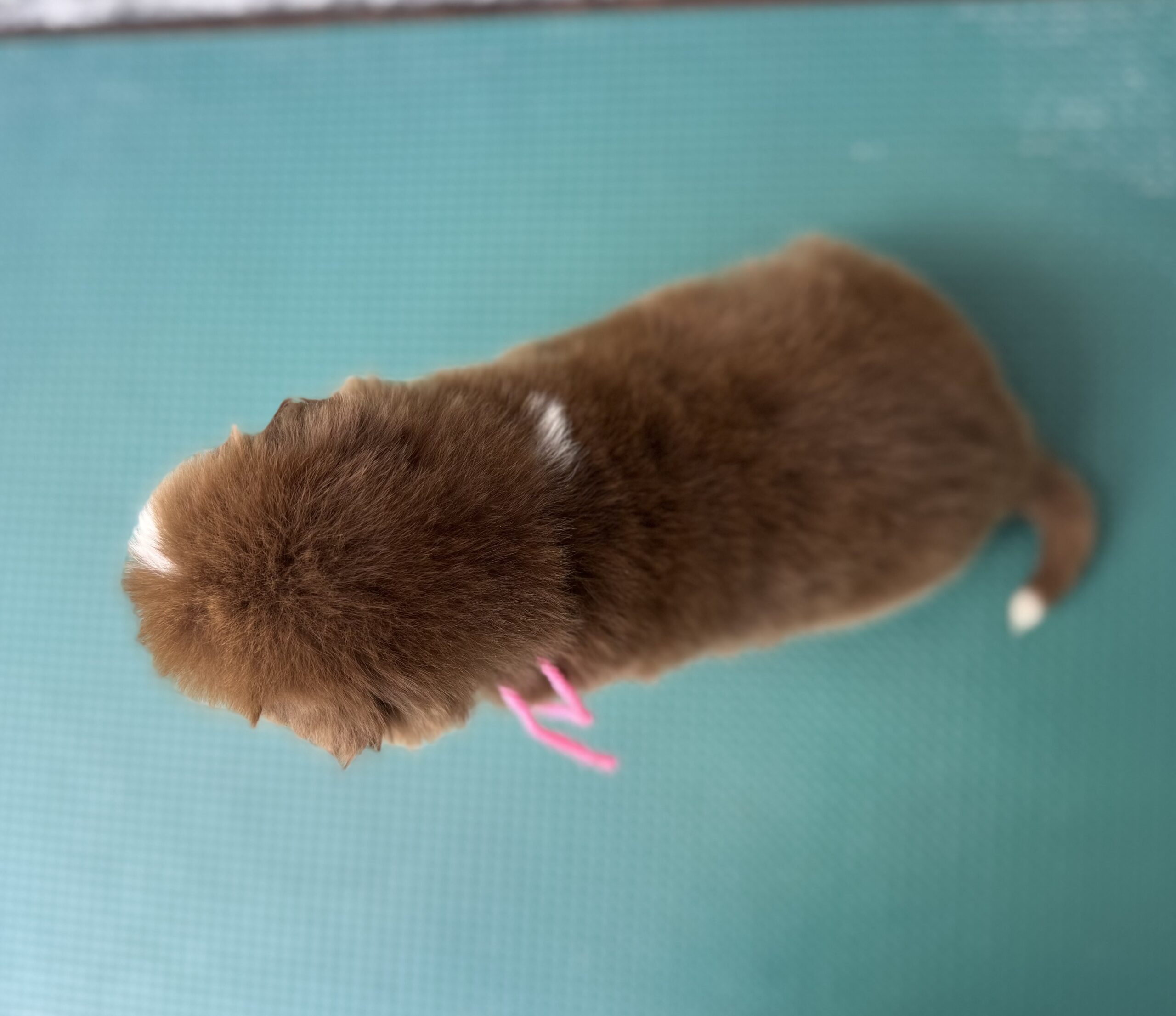 写真5