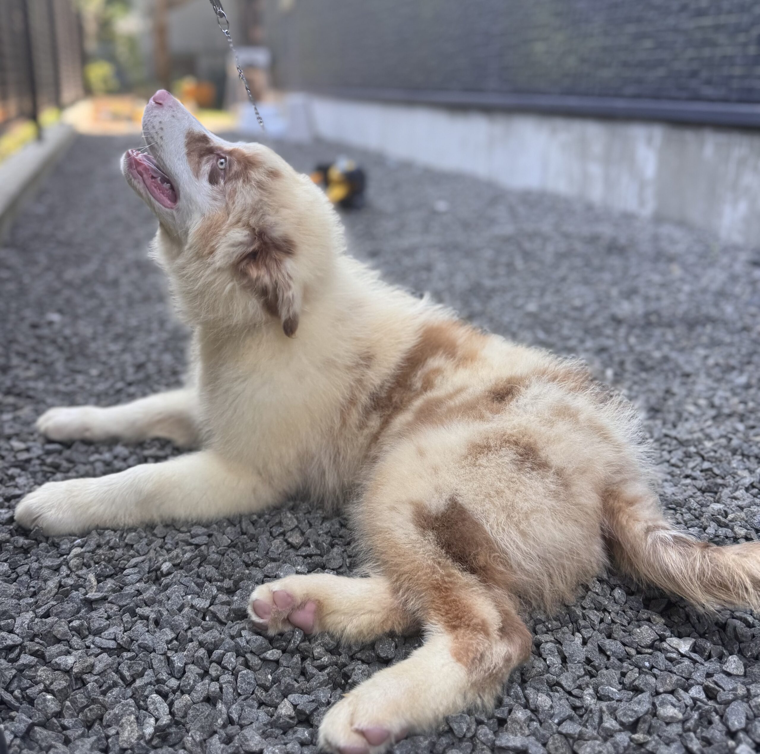 写真5