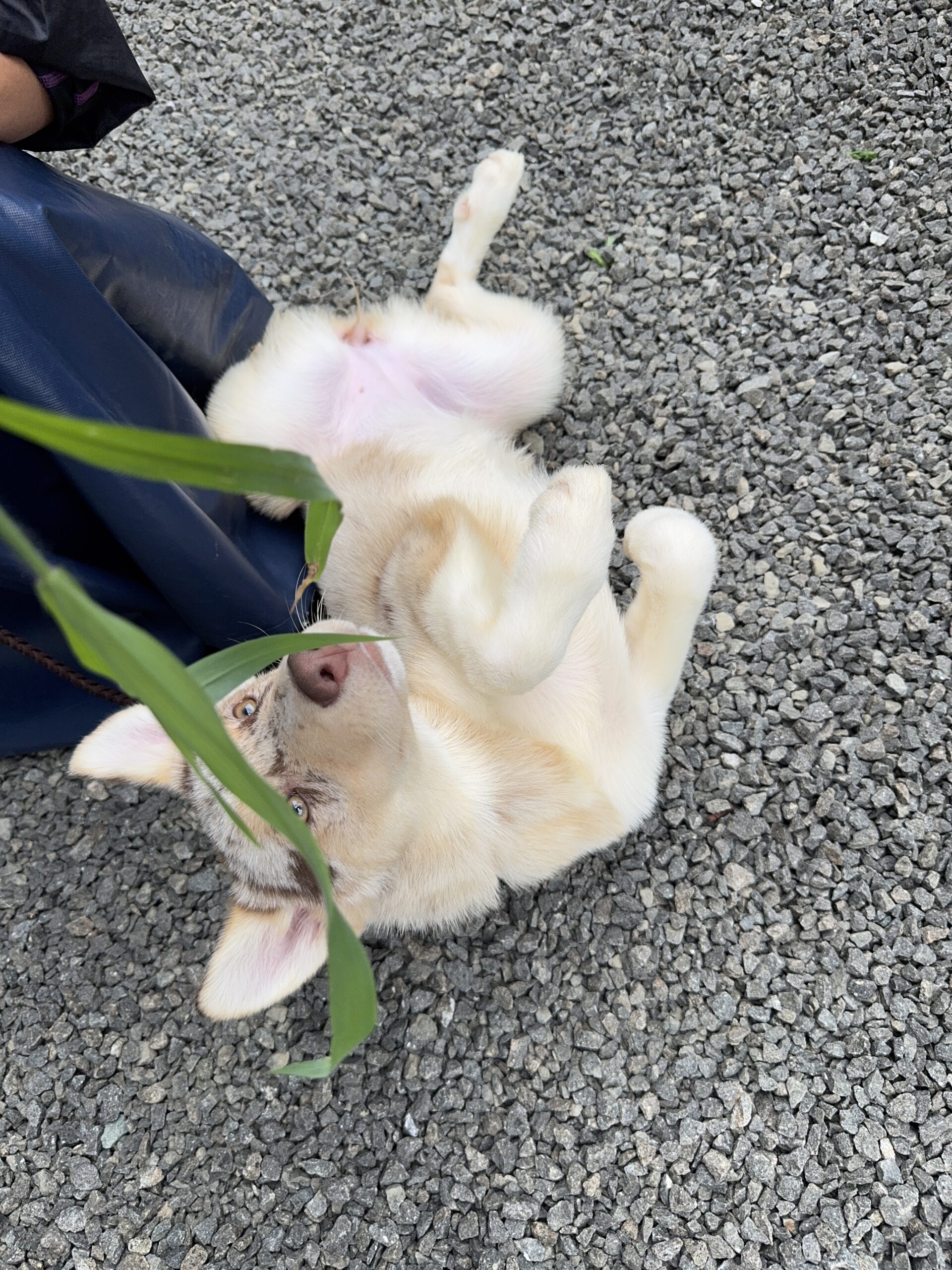 写真6