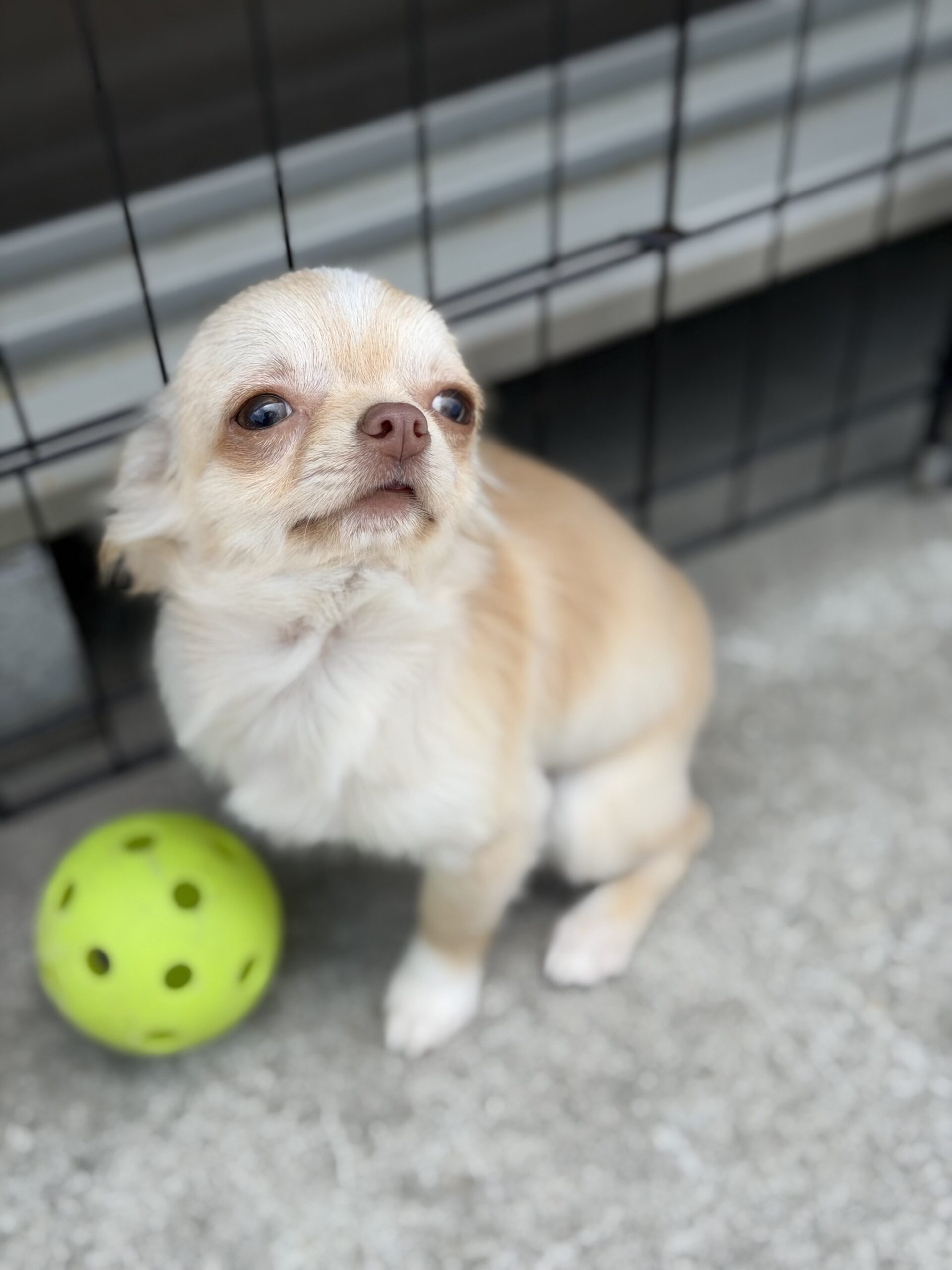 写真5